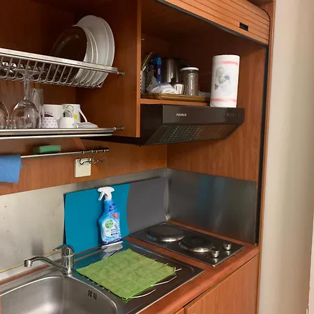 Sleep Like A Bird - Whole A02